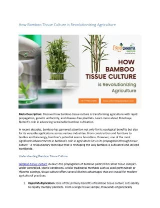 How Bamboo Tissue Culture is Revolutionizing Agriculture