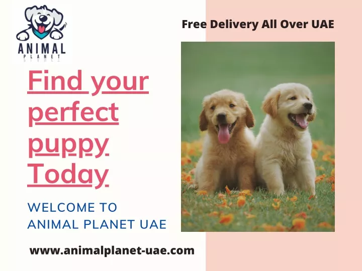 free delivery all over uae