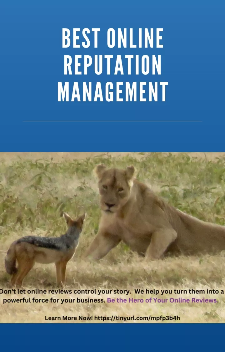 best online reputation management