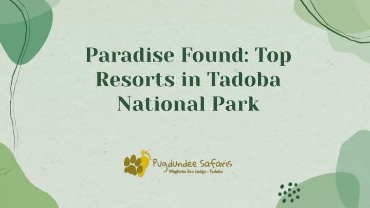 paradise found top resorts in tadoba national park