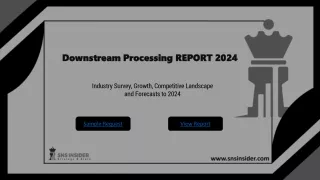 downstream processing report 2024
