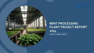 mint processing plant project report 2024