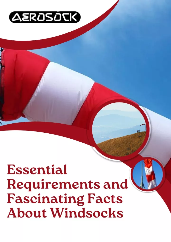 essential requirements and fascinating facts