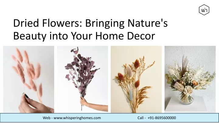 dried flowers bringing nature s beauty into your home decor