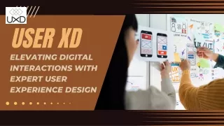 UserXD: Innovating User Experience Design for Seamless Interactions