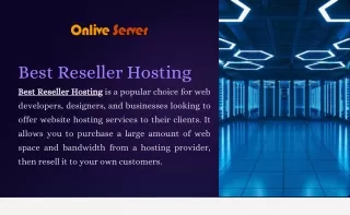 Best Reseller Hosting Solutions: Reliable, Scalable, and Affordable