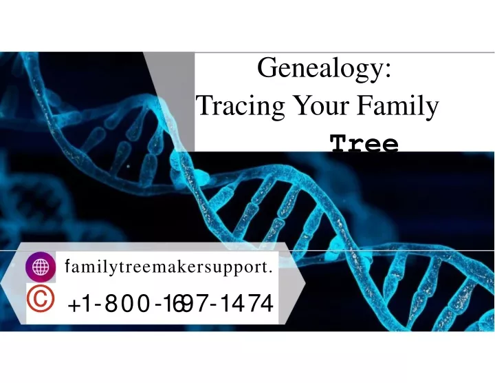 genealogy tracing your family tree