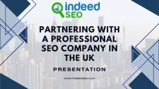 Partnering with a Professional SEO Company in the UK