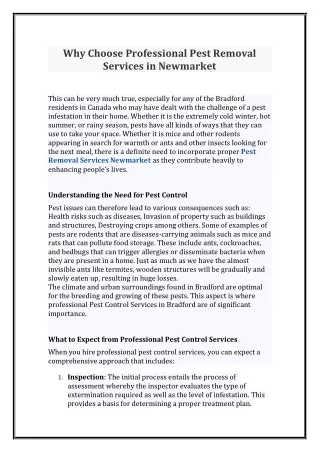 Why Choose Professional Pest Removal Services in Newmarket