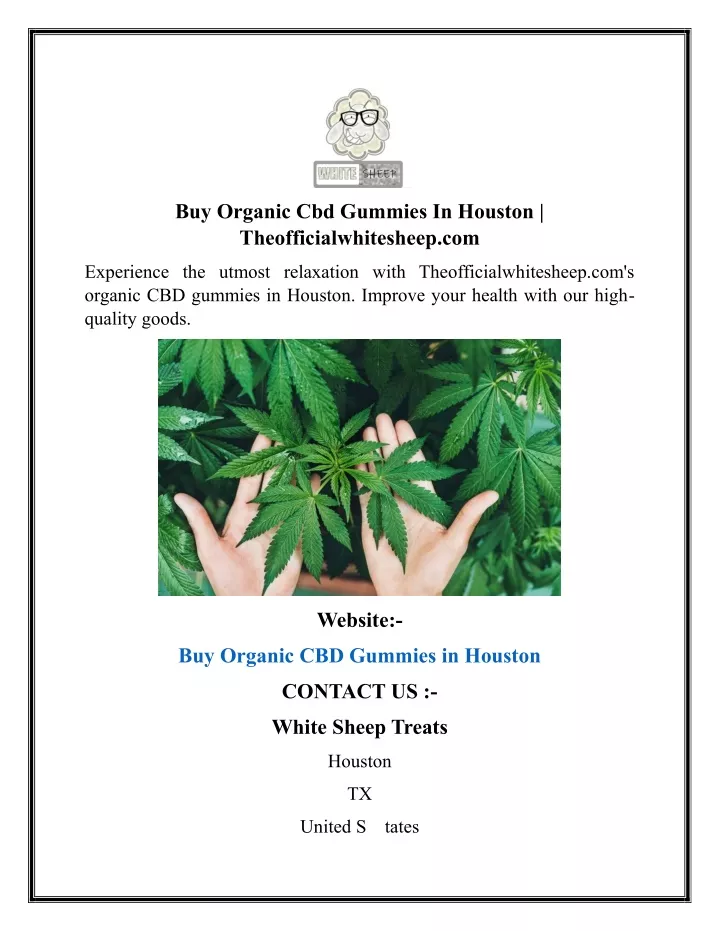 buy organic cbd gummies in houston