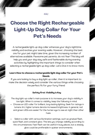 Choose the Right Rechargeable Light-Up Dog Collar for Your Pet’s Needs