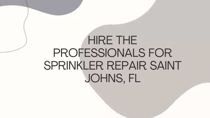 hire the professionals for sprinkler repair saint