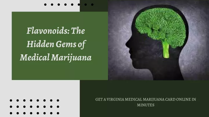 flavonoids the hidden gems of medical marijuana