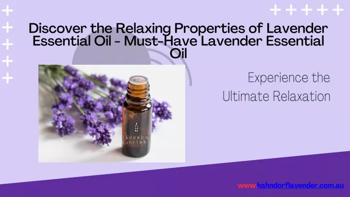 discover the relaxing properties of lavender