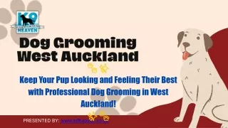 Dog Grooming West Auckland