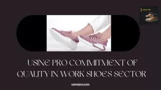 USINE PRO Commitment of Quality in Work Shoes Sector