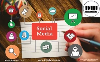 www digitalwolf co in