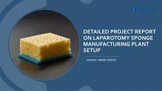 detailed project report on laparotomy sponge