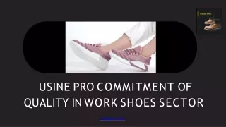 USINE PRO Commitment of Quality in Work Shoes Sector