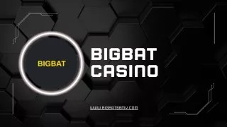 bigbat casino