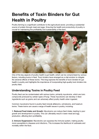 Benefits of Toxin Binders for Gut Health in Poultry