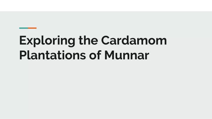 exploring the cardamom plantations of munnar