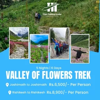 Valley-of-Flowers-Trek-TTI