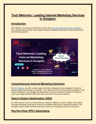 tech metronix leading internet marketing services