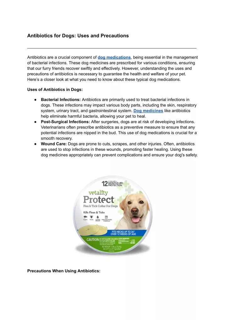 antibiotics for dogs uses and precautions