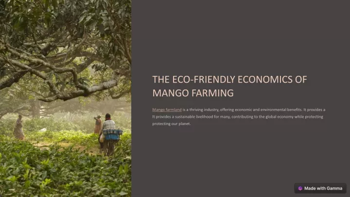 the eco friendly economics of mango farming