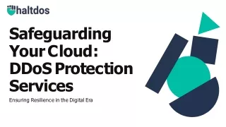 Safeguarding Your Cloud DDoS Protection Services (2)