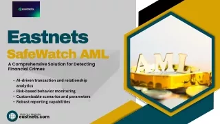 AML Search Solution Provider| Detect and Block Money Laundering