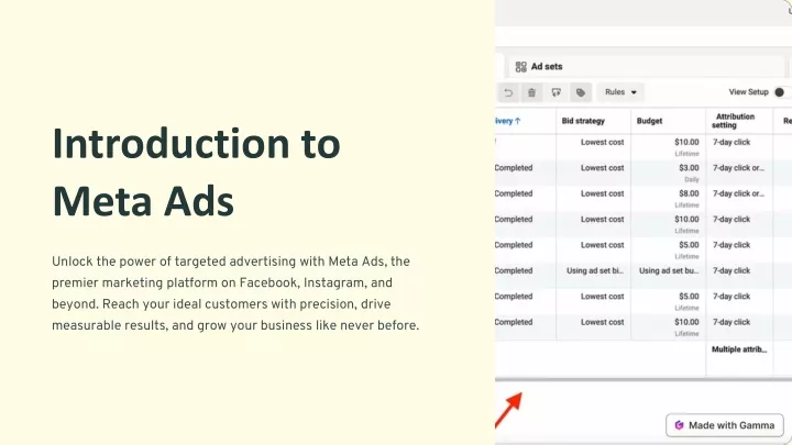 introduction to meta ads