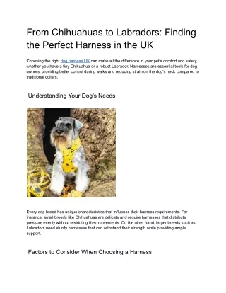 From Chihuahuas to Labradors_ Finding the Perfect Harness in the UK