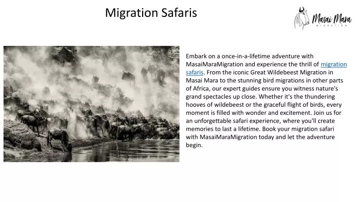 migration safaris