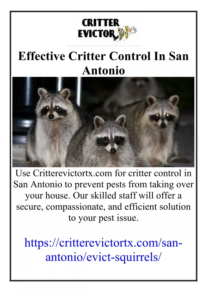 effective critter control in san antonio