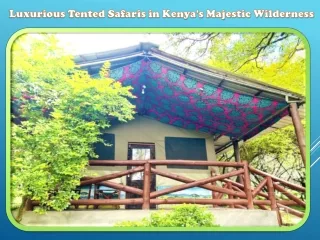 Luxurious Tented Safaris in Kenya's Majestic Wilderness