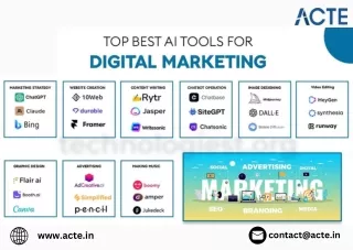 contact@acte in