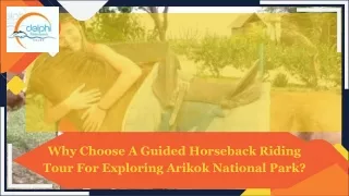 Why Choose A Guided Horseback Riding Tour For Exploring Arikok National Park