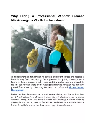 Why Hiring a Professional Window Cleaner Mississauga is Worth the Investment