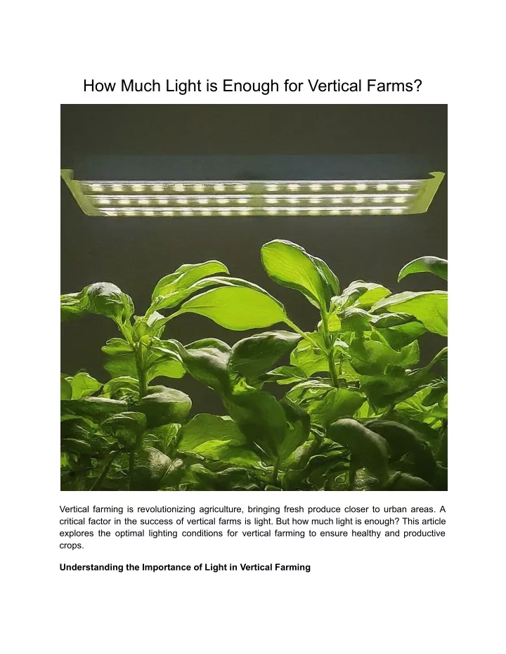 how much light is enough for vertical farms