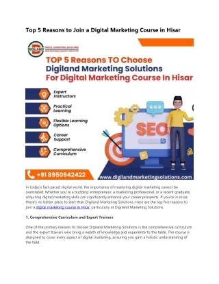 Top 5 Reasons to Join a Digital Marketing Course in Hisar