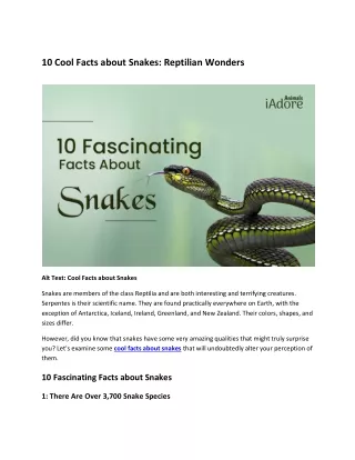 10 Cool Facts about Snakes