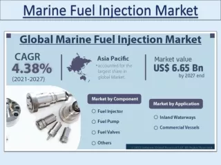 Marine Fuel Injection Market