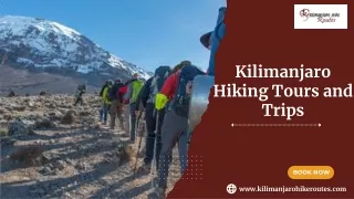 Kilimanjaro Hiking Tours and Trips