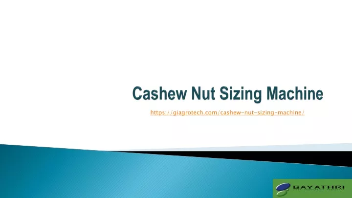 cashew nut sizing machine