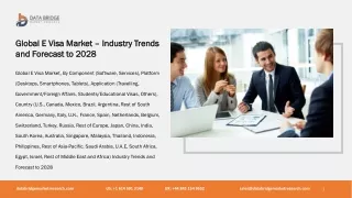Global E Visa Market