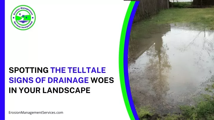 spotting the telltale signs of drainage woes