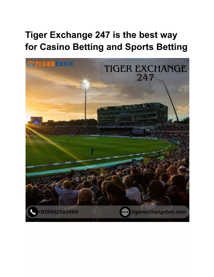 tiger exchange 247 is the best way for casino