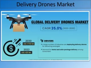 Delivery Drones Market